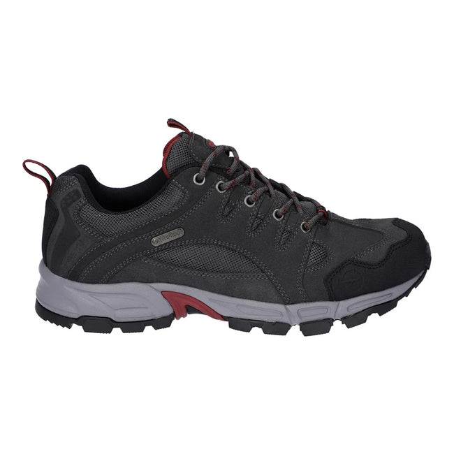 Graphite Grey-Dark Red - Lifestyle - Hi-Tec Mens Auckland Lite Suede Walking Shoes