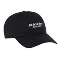 Black - Front - Dickies Unisex Adult Cotton Twill Everyday Baseball Cap