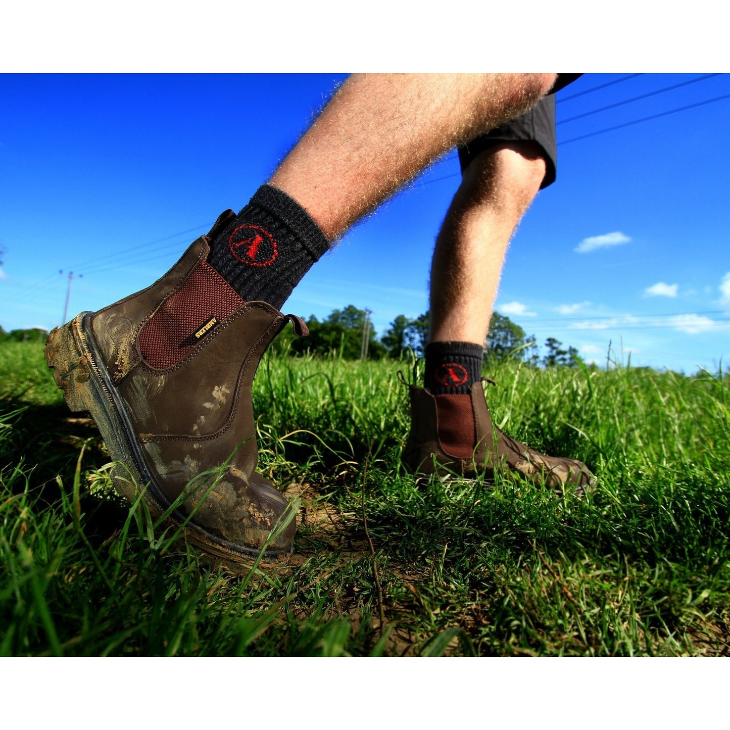 Brown - Close up - Amblers Steel FS128 Boot - Mens Boots