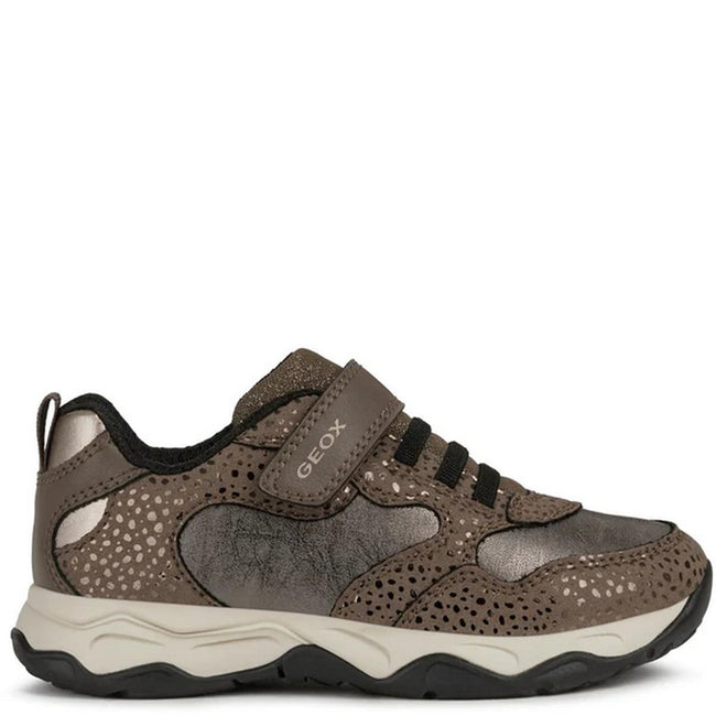 Smoke Grey-Gold - Pack Shot - Geox Girls J Calco Trainers