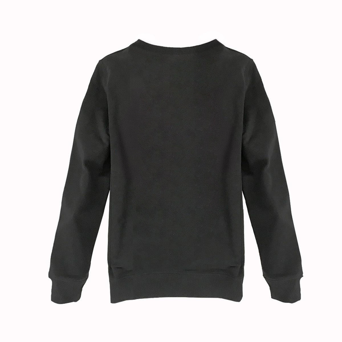 Charcoal - Back - Amplified Unisex Adult Tour 75 The Rolling Stones Sweatshirt