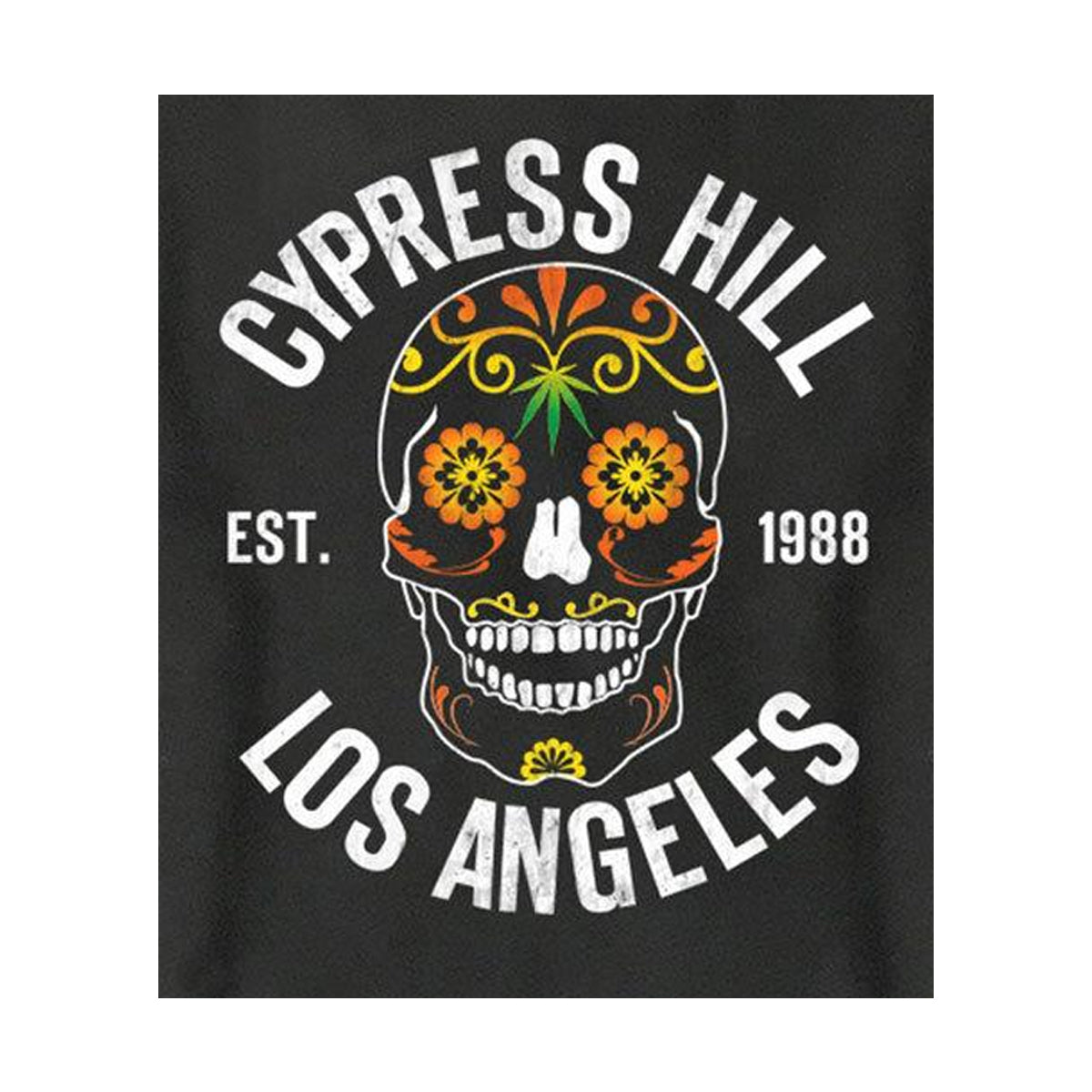 Charcoal - Back - Amplified Unisex Adult Floral Skull Cypress Hill Sweatshirt