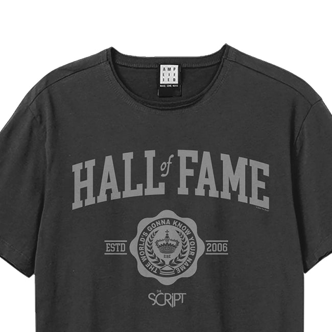Charcoal - Back - Amplified Unisex Adult Hall Of Fame The Script T-Shirt