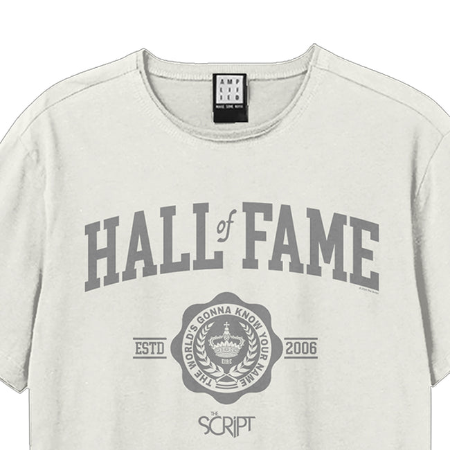 Vintage White - Back - Amplified Unisex Adult Hall Of Fame The Script T-Shirt
