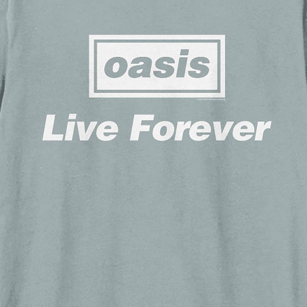 Strange Blue - Back - Amplified Unisex Adult Live Forever Oasis T-Shirt