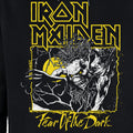 Black - Back - Amplified Unisex Adult Fear Of The Dark Iron Maiden Hoodie