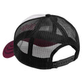 Beige-Black-Dark Red - Back - Amplified AC-DC Trucker Cap