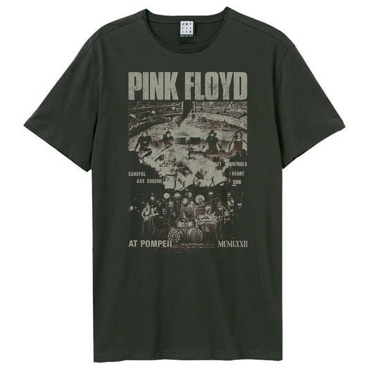 Charcoal - Front - Amplified Unisex Adult Pompeii Careful Eugene Pink Floyd T-Shirt