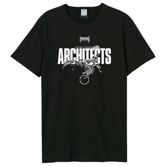 Black - Front - Amplified Unisex Adult Scorpion Architects T-Shirt