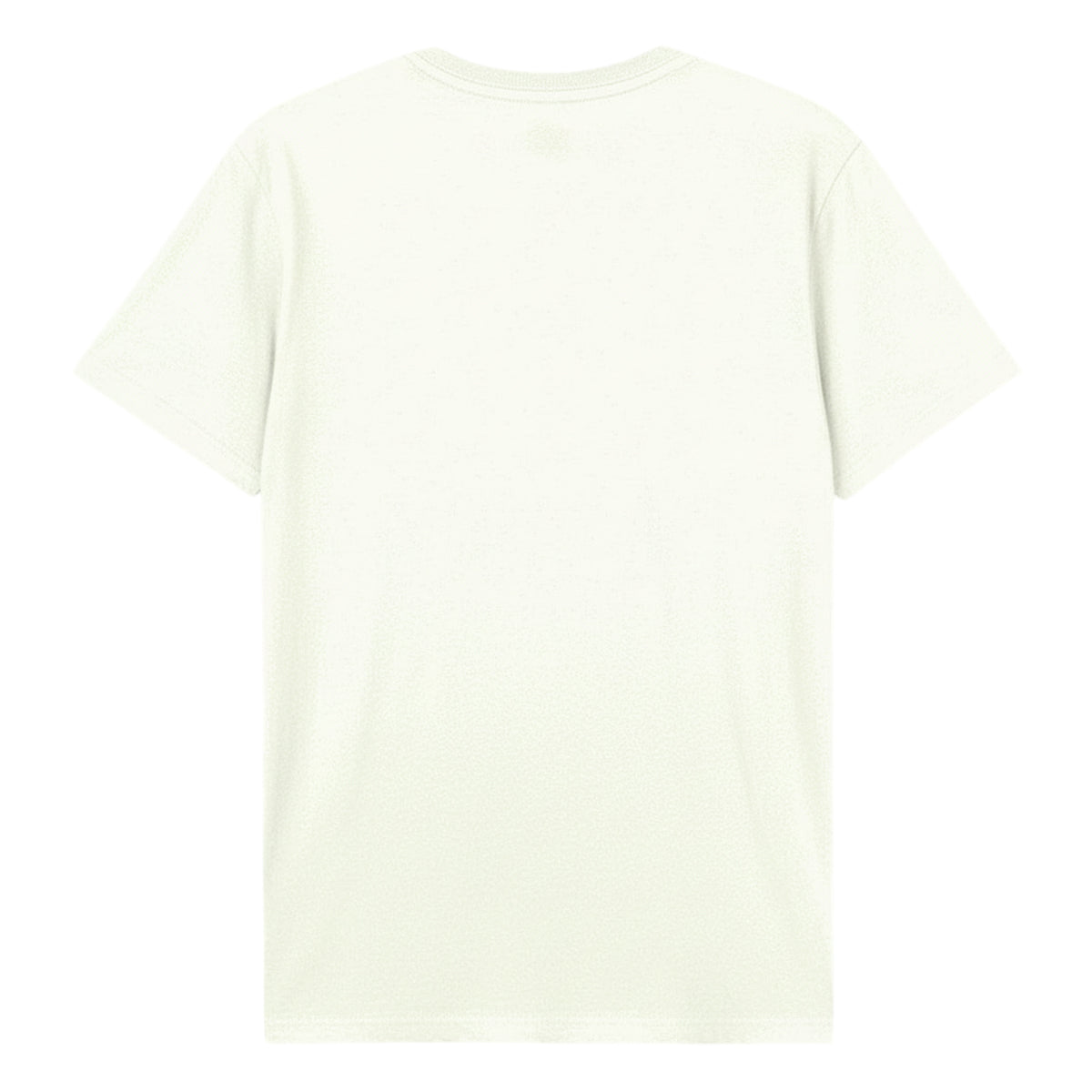 Vintage White - Back - Amplified Unisex Adult The Best 80´s Tina Turner T-Shirt