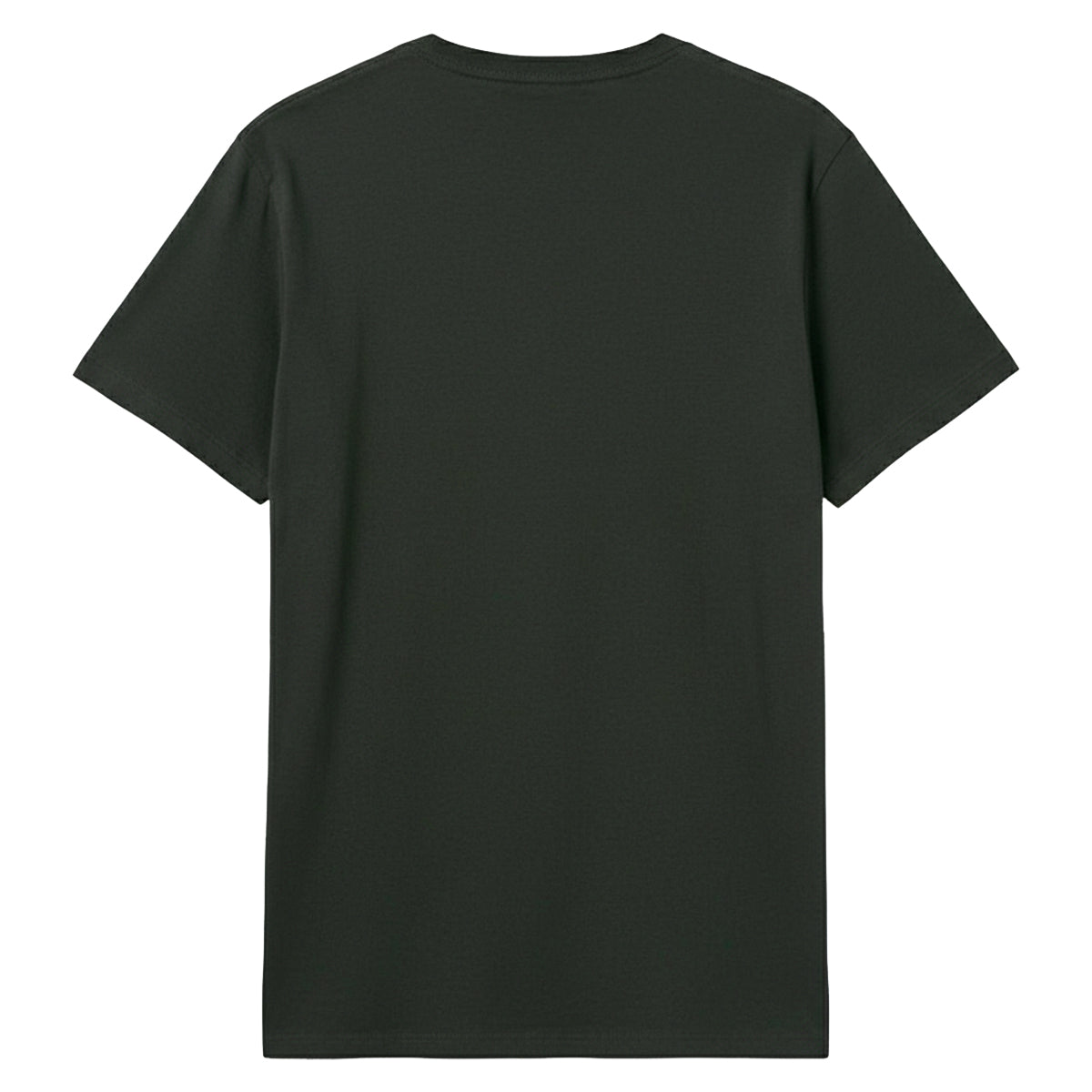 Charcoal - Back - Amplified Unisex Adult Teenage Kicks The Undertones T-Shirt