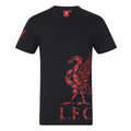 Navy - Front - Liverpool FC Mens Graphic T-Shirt