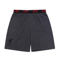Grey - Close up - Liverpool FC Mens Short Pyjama Set