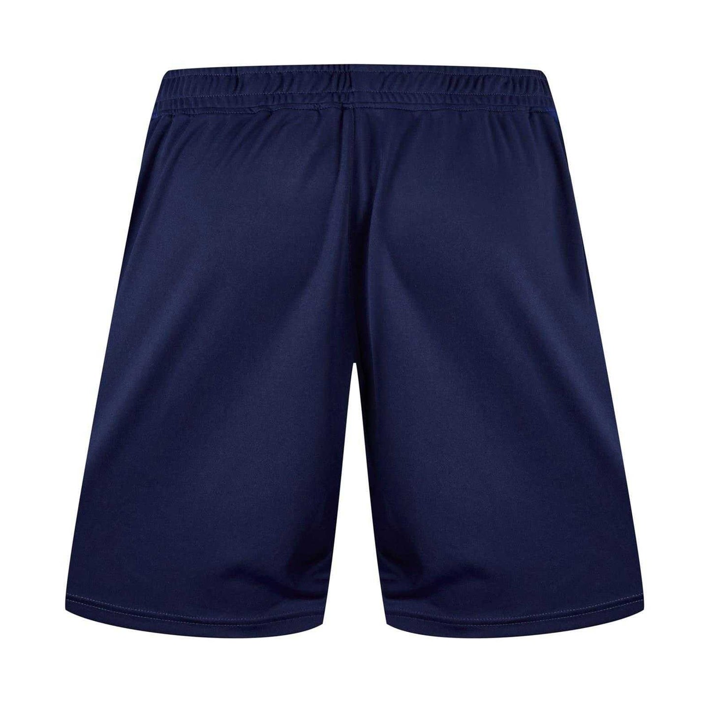 Blue - Back - Castore Unisex Adult Scarlets Rugby Shorts