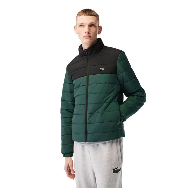 Black-Green - Side - Lacoste Mens Hooded Padded Jacket