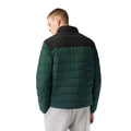 Black-Green - Back - Lacoste Mens Hooded Padded Jacket