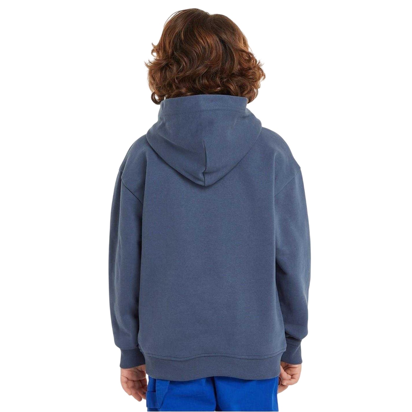 Aegean Sea - Lifestyle - Tommy Hilfiger Childrens-Kids Varsity Cotton Hoodie