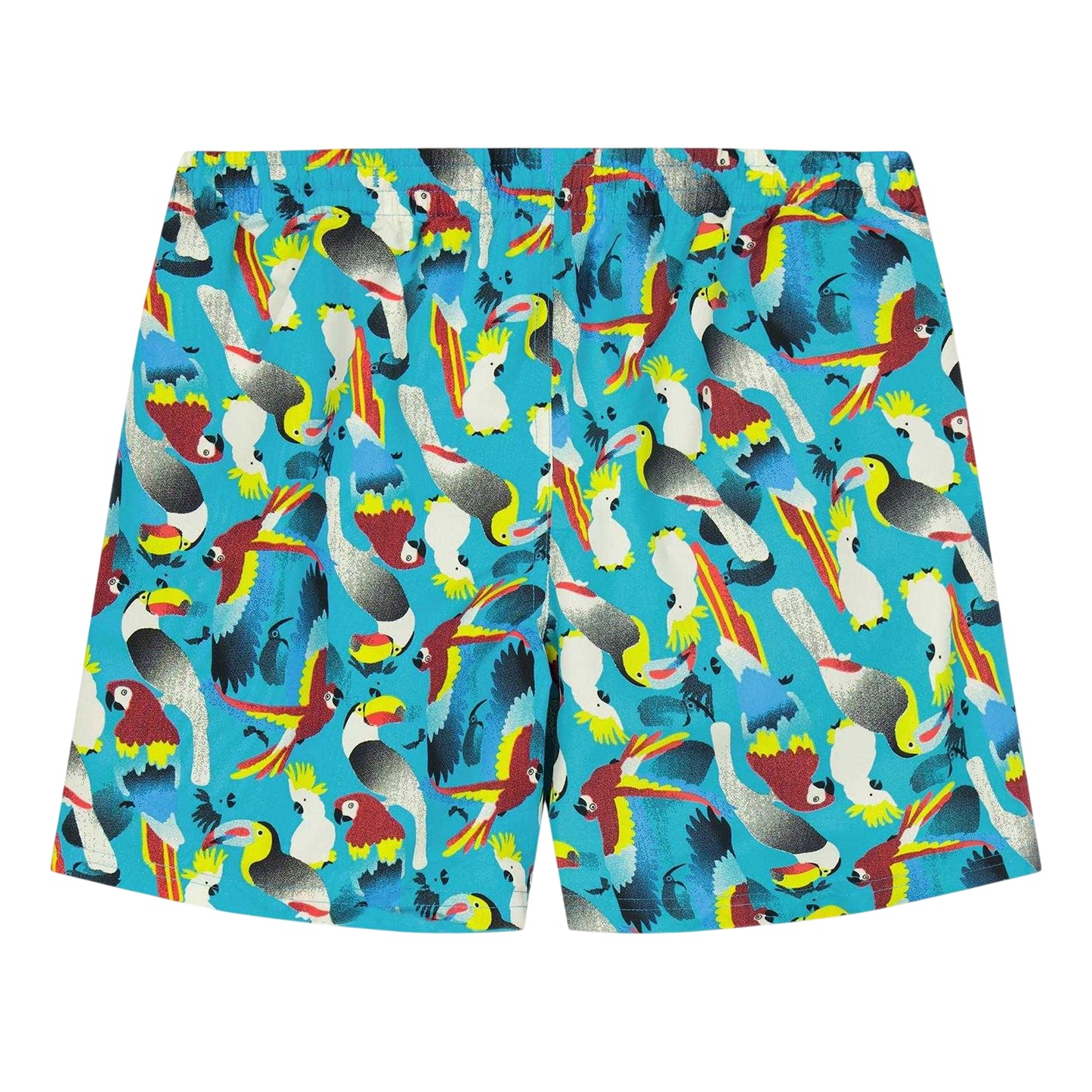 Blue - Back - Zoggs Childrens-Kids Tropical Parrot Mid Length Swim Shorts