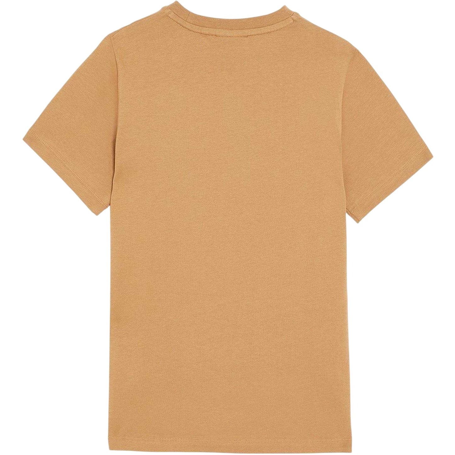 Tigers Eye - Back - Lyle & Scott Childrens-Kids Embroidered Logo Regular T-Shirt