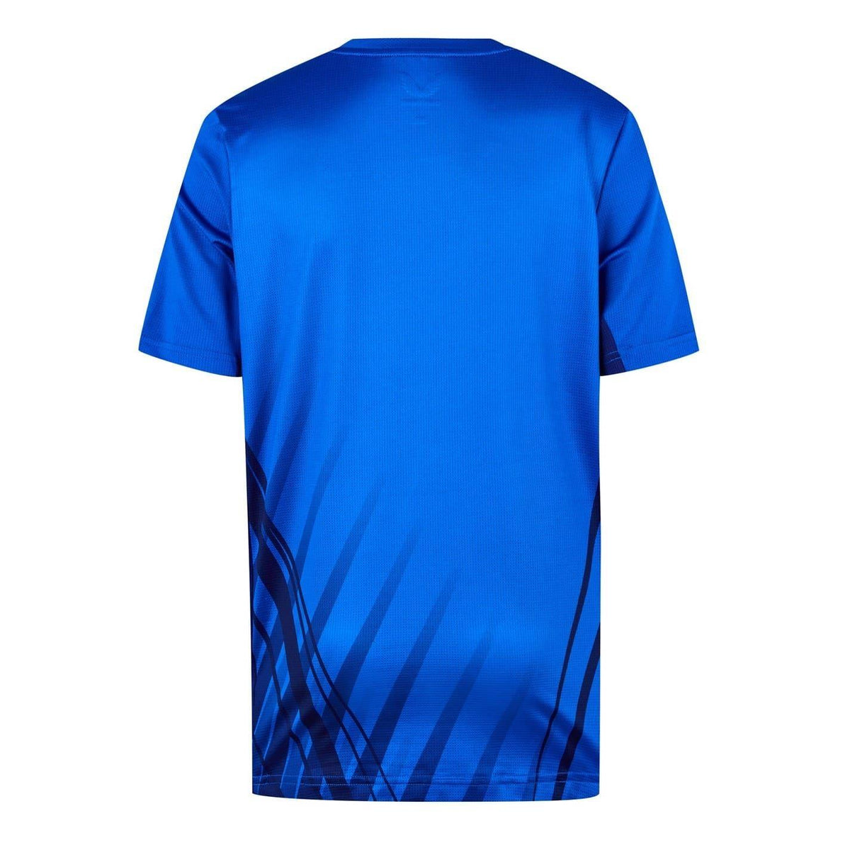 Blue - Back - Castore Childrens-Kids Rangers FC Ribbed Collar Training T-Shirt