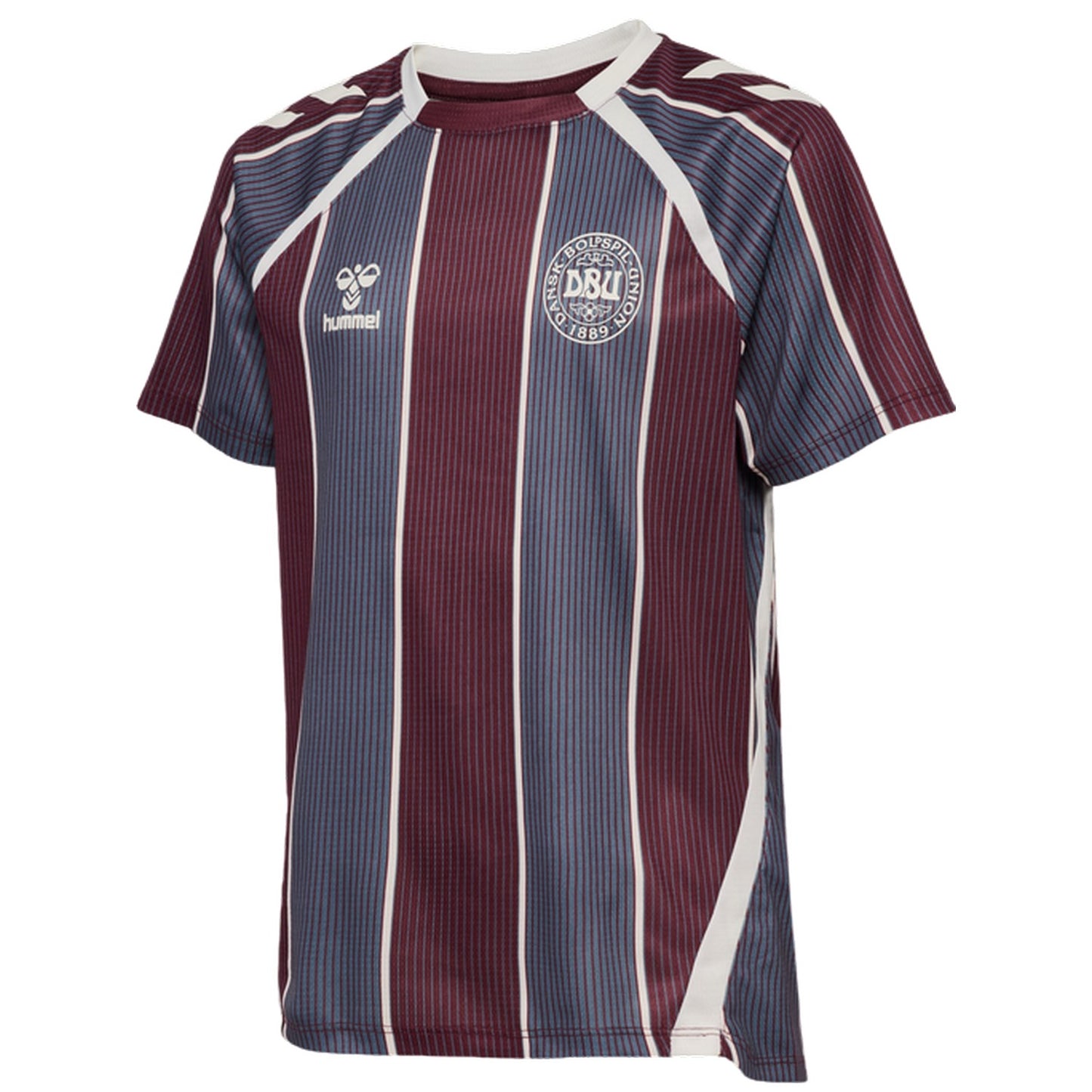 Multicoloured - Side - Hummel Childrens-Kids Pre-Match Denmark T-Shirt
