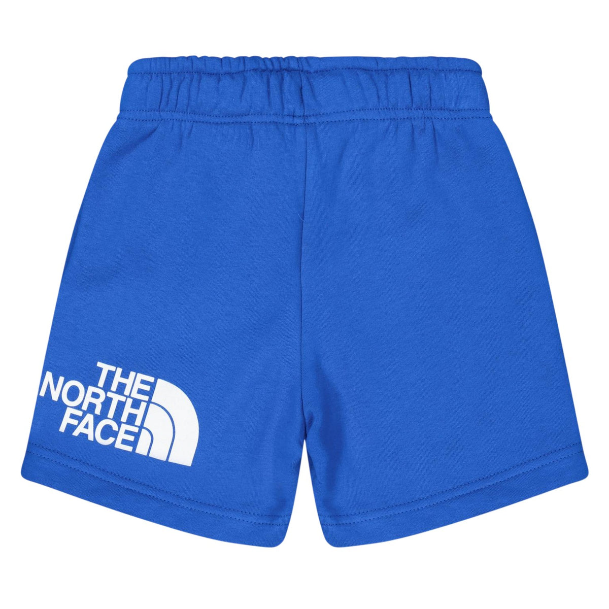 Blue - Back - The North Face Mens Cotton Blend Shorts