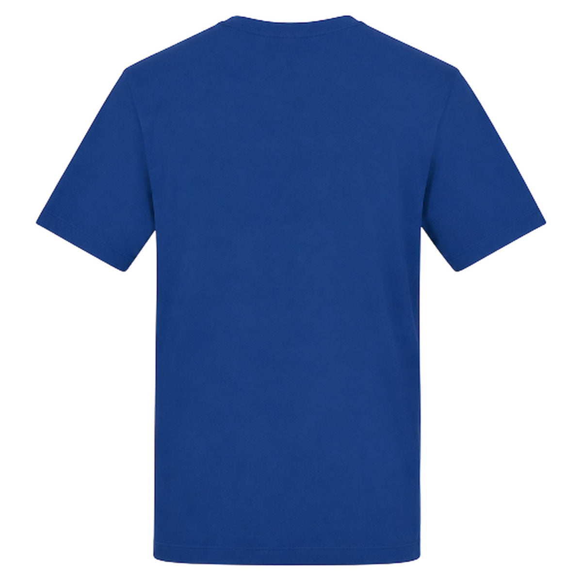 Blue - Back - AWD Mens Games Gone Graphic Print T-Shirt