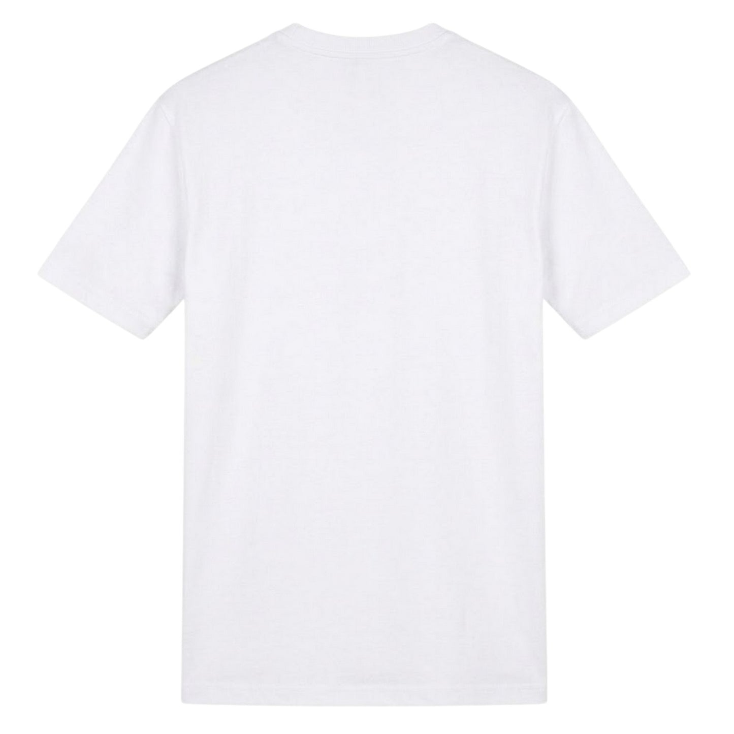 Ireland Green - Back - AWD Mens Ireland Six Nations Champions 2026 T-Shirt