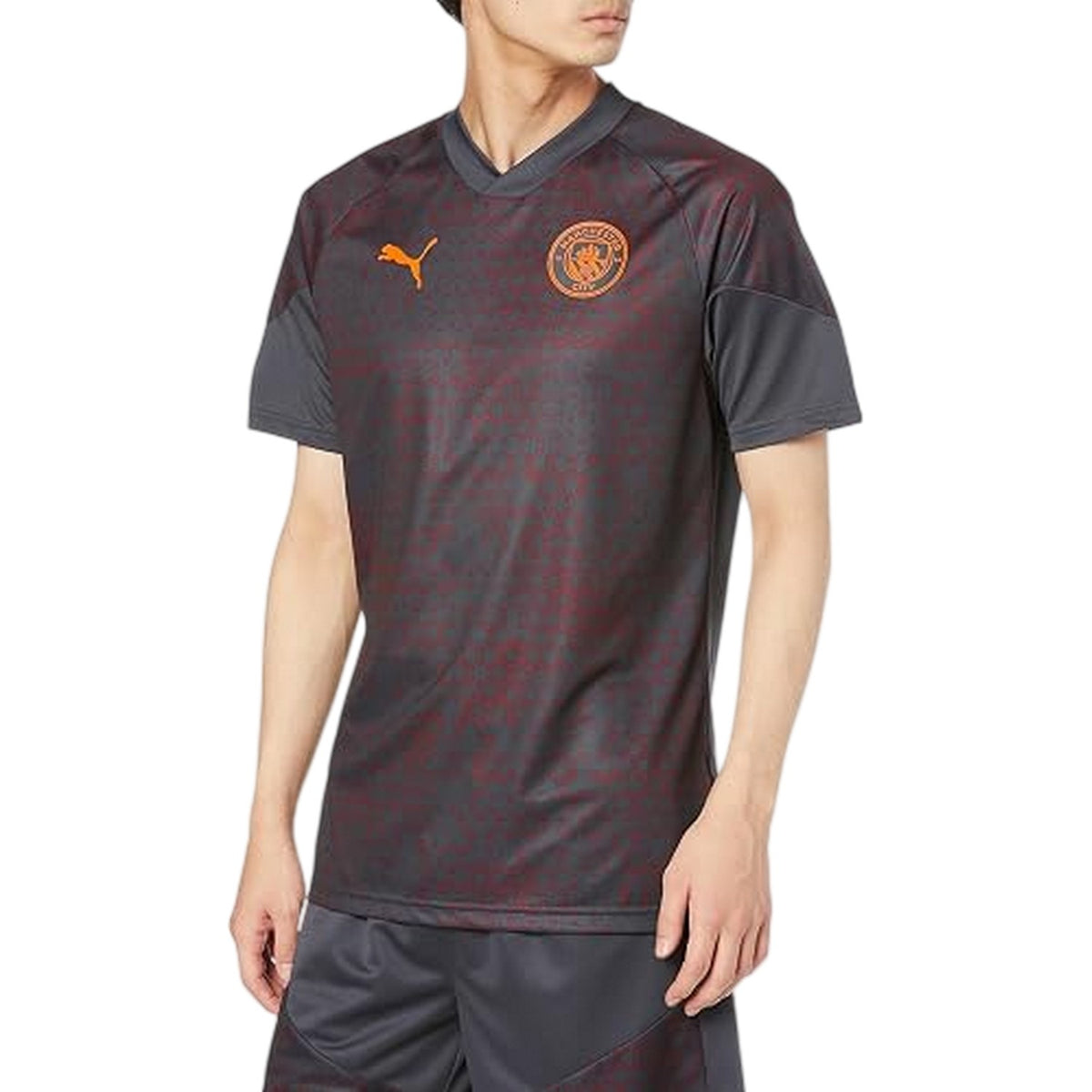 Grey - Lifestyle - Puma Unisex Adult Manchester City FC Training Jersey
