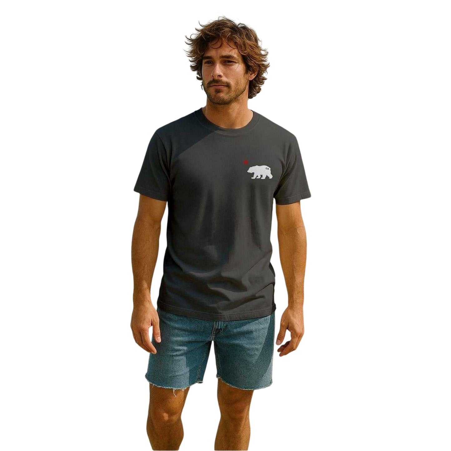 Charcoal - Side - Republic of California Mens Cali Crew Neck T-Shirt