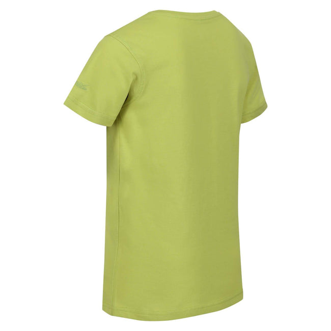Green - Lifestyle - Regatta Childrens-Kids Bosley VI Hawaii T-Shirt