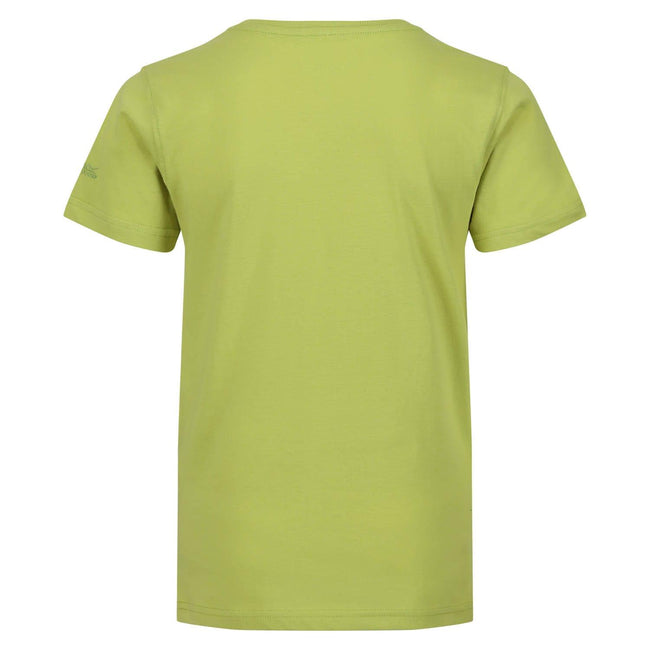 Green - Back - Regatta Childrens-Kids Bosley VI Hawaii T-Shirt