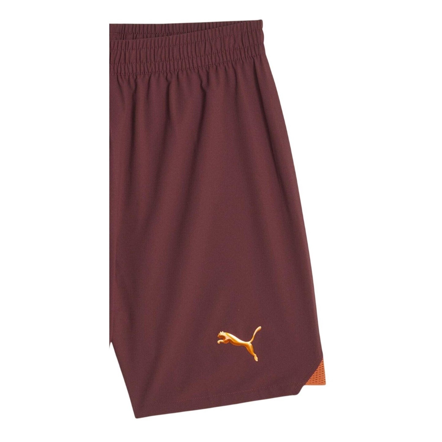 Aubergine - Lifestyle - Manchester City FC Mens Promo Puma Football Shorts
