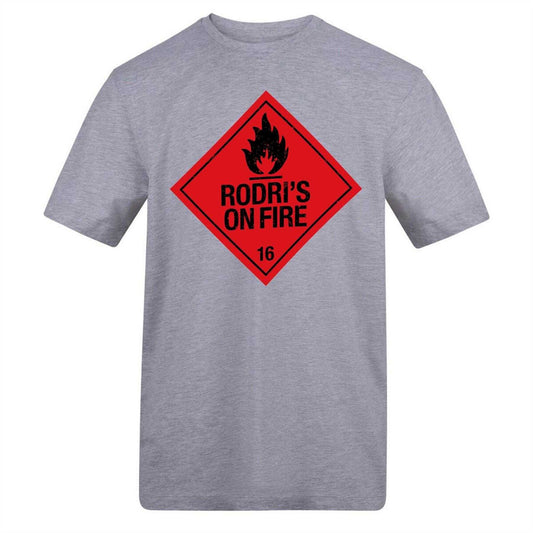 Grey - Front - AWD Unisex Adult Rodri Flame T-Shirt