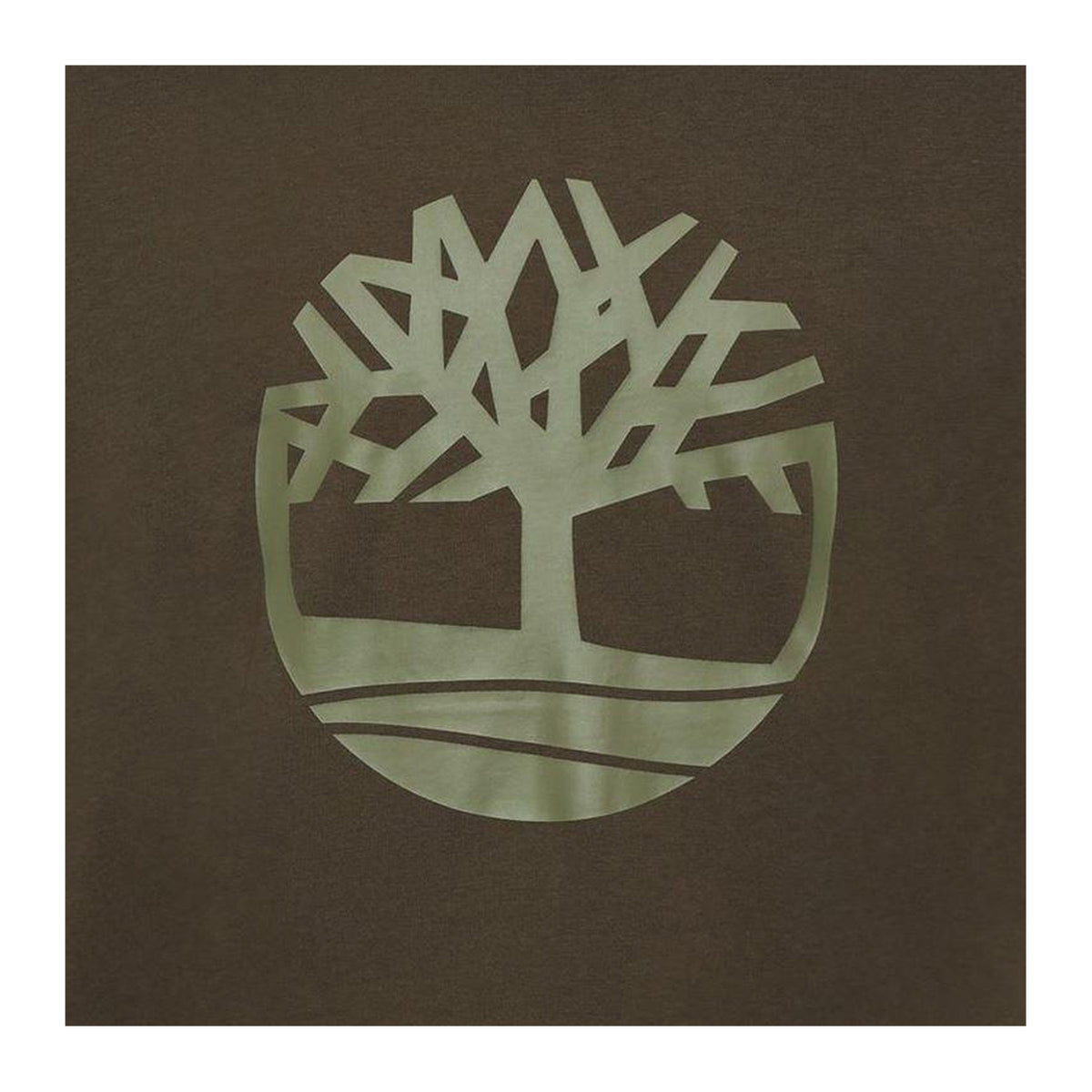 Light-Green-Earth - Side - Timberland Mens Northwood Tree Logo Regular T-Shirt
