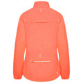 Neon Pink - Back - Dare 2B Womens-Ladies Mediant II Waterproof Jacket