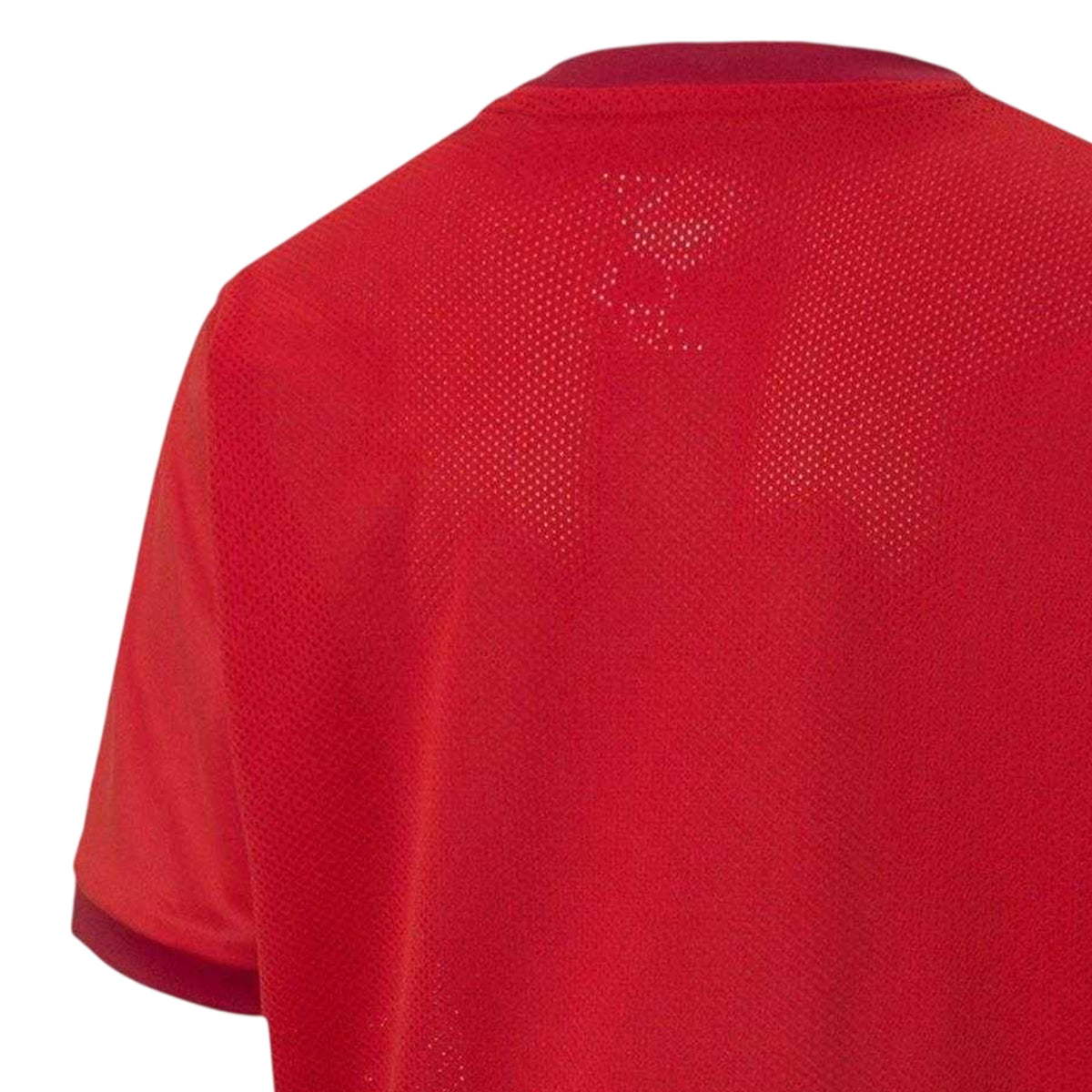 Chili Pepper Red - Lifestyle - Puma Childrens-Kids TeamGoal 23 Athletic Short-Sleeved T-Shirt