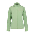 Green - Front - Icepeak Womens-Ladies Berwick Full Zip Fleece Jacket