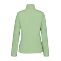 Green - Back - Icepeak Womens-Ladies Berwick Full Zip Fleece Jacket