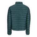 Deep Green - Back - Jott Unisex Adult Mat Lightweight Down Jacket