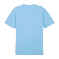 Blue - Back - Puma Mens TeamFinal Training Jersey