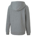 Grey - Back - Puma Mens TeamGoal 23 Casuals Hooded Jacket