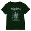 Green - Front - Harry Potter Unisex Adult Slytherin T-Shirt
