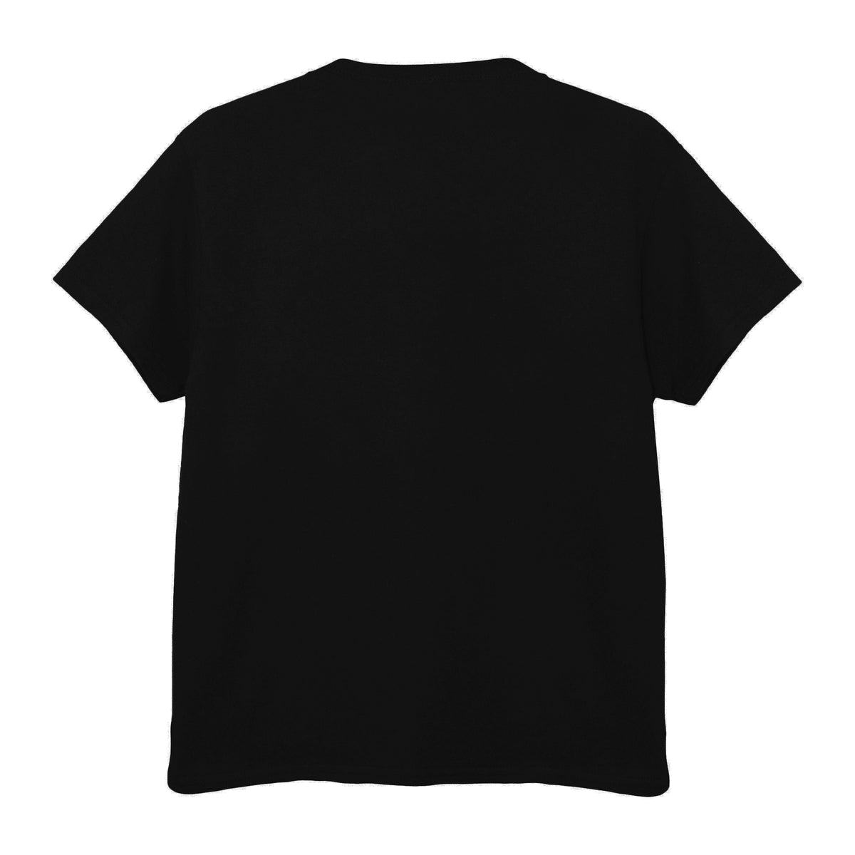 Black - Back - Jurassic Park Unisex Adult Classic Logo T-Shirt