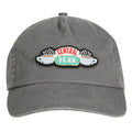 Grey - Back - Friends Central Perk Baseball Cap
