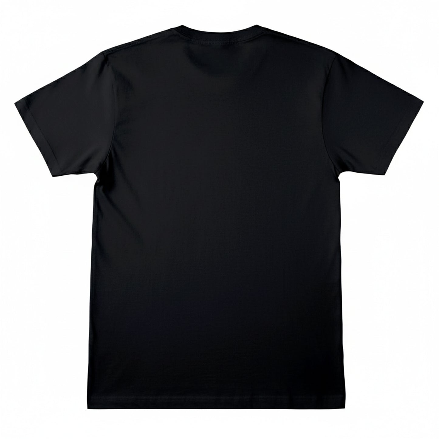 Black - Back - WWE Unisex Adult CM Punk Best In The World T-Shirt
