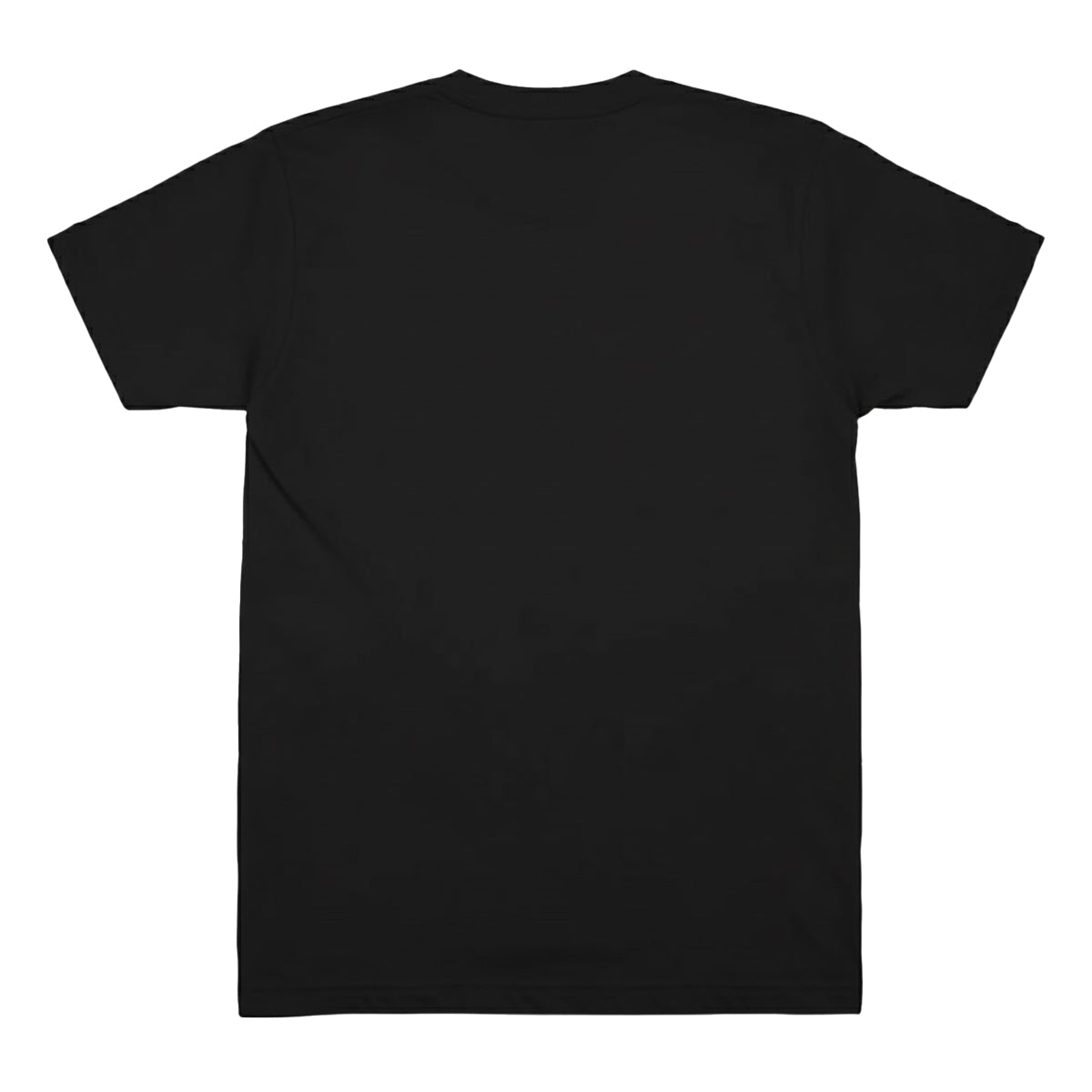 Black - Back - Goosebumps Unisex Adult Night Of The Living Dummy T-Shirt