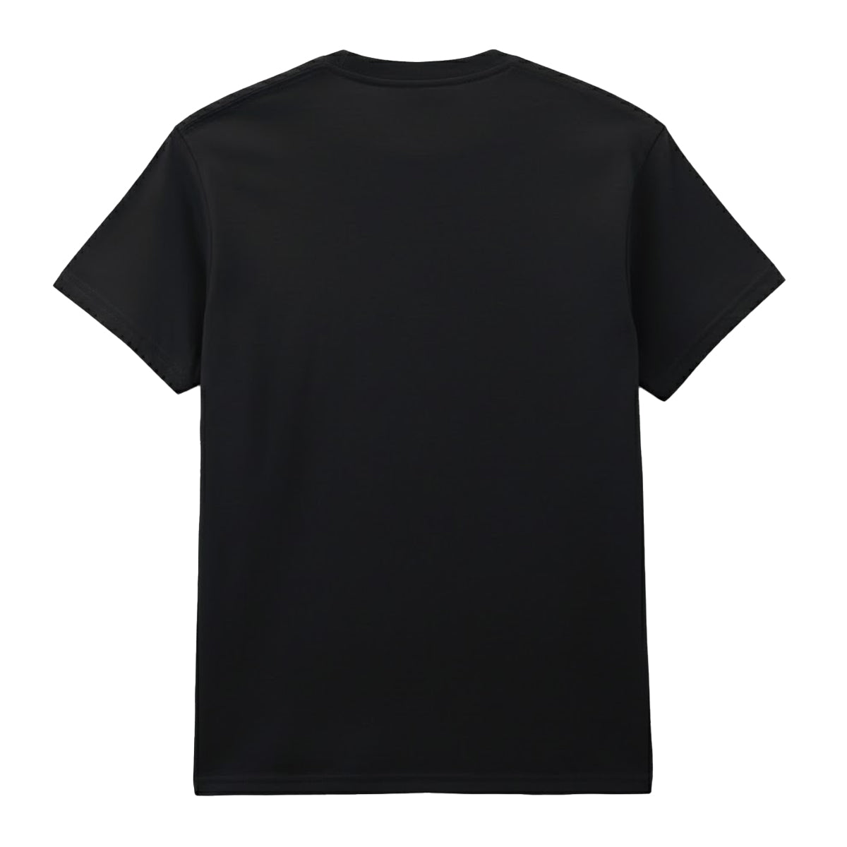 Black - Back - Star Wars: The Mandalorian Unisex Adult Poster Art T-Shirt