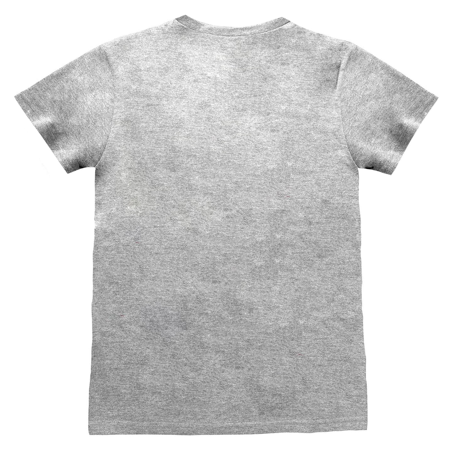 Grey Heather - Back - Nintendo Unisex Adult Legend Of Zelda Shield T-Shirt