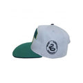 Grey-Green - Side - Harry Potter Slytherin Snapback Cap